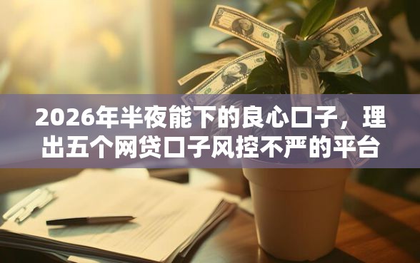 2026年半夜能下的良心口子，理出五个网贷口子风控不严的平台