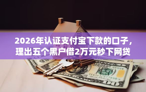 2026年认证支付宝下款的口子，理出五个黑户借2万元秒下网贷口子app