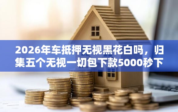 2026年车抵押无视黑花白吗，归集五个无视一切包下款5000秒下款的平台