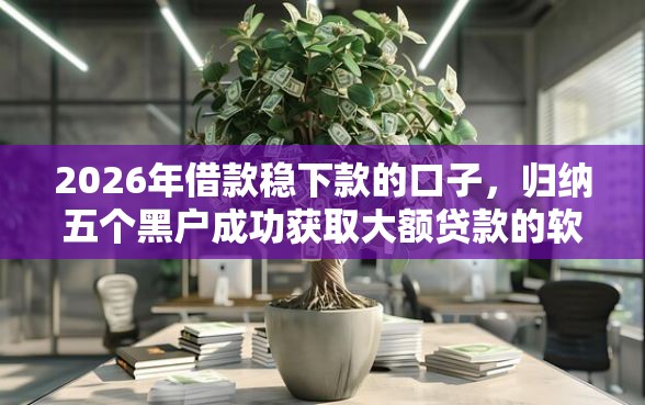 2026年借款稳下款的口子，归纳五个黑户成功获取大额贷款的软件