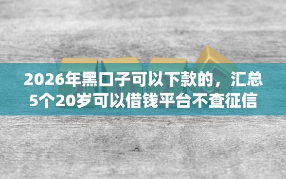 2026年黑口子可以下款的，汇总5个20岁可以借钱平台不查征信的app