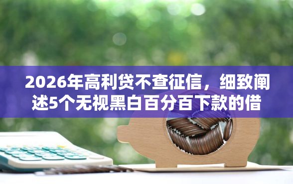 2026年高利贷不查征信，细致阐述5个无视黑白百分百下款的借款平台