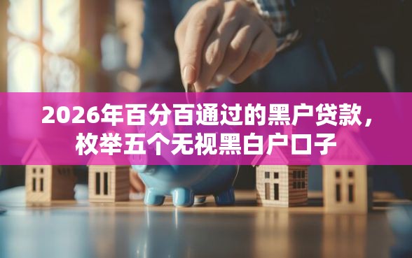 2026年百分百通过的黑户贷款，枚举五个无视黑白户口子
