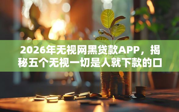 2026年无视网黑贷款APP，揭秘五个无视一切是人就下款的口子