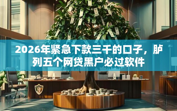 2026年紧急下款三千的口子，胪列五个网贷黑户必过软件