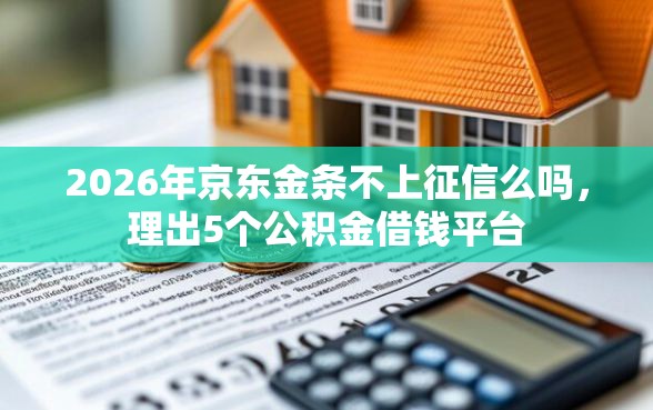 2026年京东金条不上征信么吗，理出5个公积金借钱平台