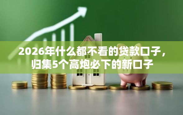 2026年什么都不看的贷款口子，归集5个高炮必下的新口子