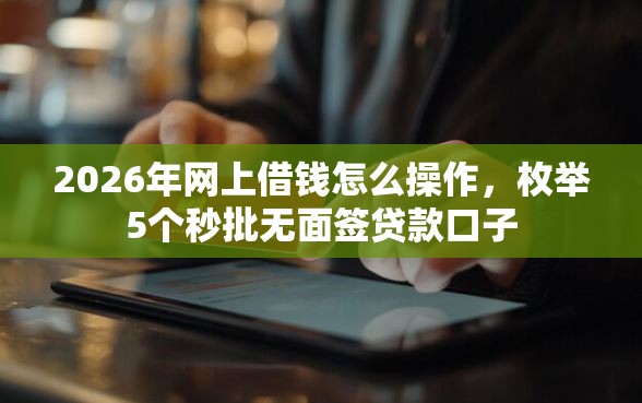 2026年网上借钱怎么操作，枚举5个秒批无面签贷款口子