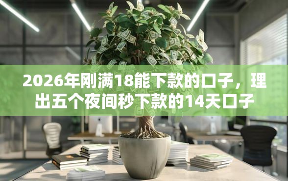 2026年刚满18能下款的口子，理出五个夜间秒下款的14天口子