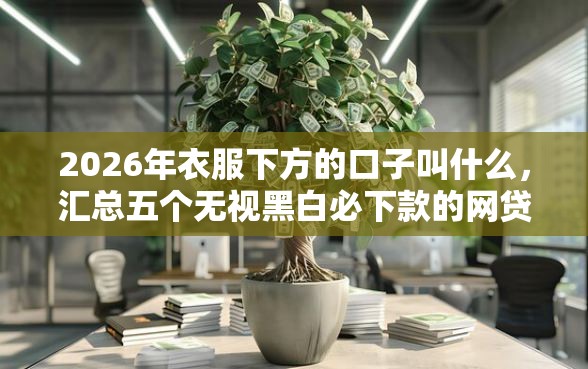 2026年衣服下方的口子叫什么，汇总五个无视黑白必下款的网贷口子