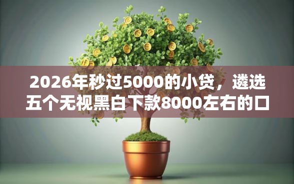 2026年秒过5000的小贷，遴选五个无视黑白下款8000左右的口子