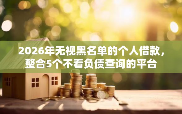 2026年无视黑名单的个人借款，整合5个不看负债查询的平台