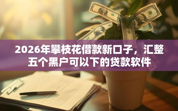 2026年攀枝花借款新口子，汇整五个黑户可以下的贷款软件