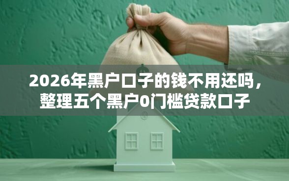 2026年黑户口子的钱不用还吗,整理五个黑户0门槛贷款口子 2026年黑户口子的钱不用还吗,整理五个黑户0门槛贷款口子