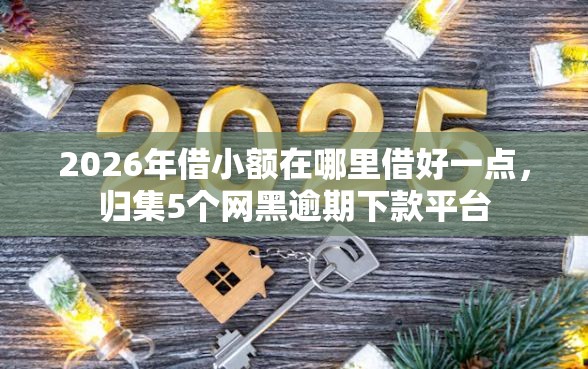 2026年借小额在哪里借好一点，归集5个网黑逾期下款平台