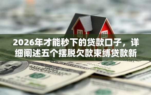 2026年才能秒下的贷款口子，详细阐述五个摆脱欠款束缚贷款新口子