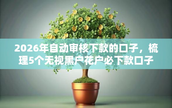 2026年自动审核下款的口子，梳理5个无视黑户花户必下款口子