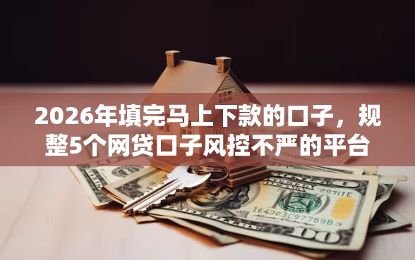 2026年填完马上下款的口子，规整5个网贷口子风控不严的平台