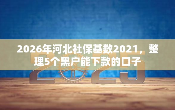 2026年河北社保基数2021，整理5个黑户能下款的口子