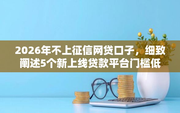 2026年不上征信网贷口子，细致阐述5个新上线贷款平台门槛低口子