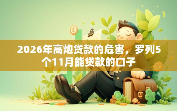 2026年高炮贷款的危害，罗列5个11月能贷款的口子