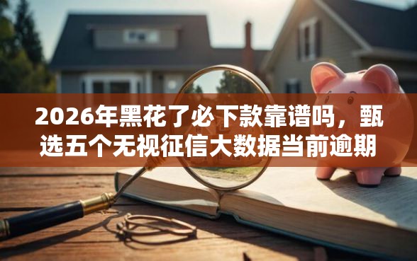 2026年黑花了必下款靠谱吗，甄选五个无视征信大数据当前逾期下款的口子