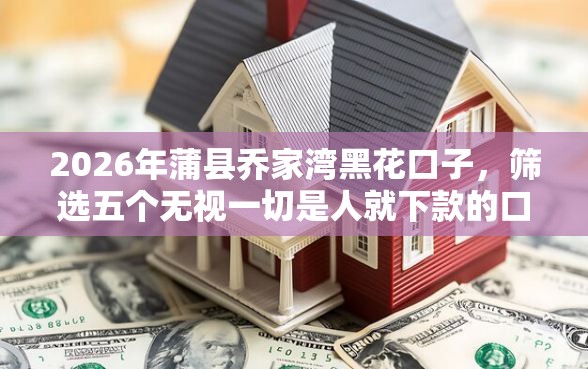 2026年蒲县乔家湾黑花口子，筛选五个无视一切是人就下款的口子