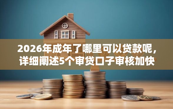 2026年成年了哪里可以贷款呢，详细阐述5个审贷口子审核加快的口子