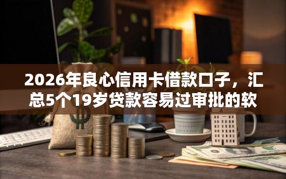2026年良心信用卡借款口子，汇总5个19岁贷款容易过审批的软件