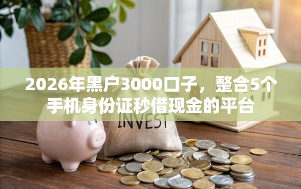 2026年黑户3000口子，整合5个手机身份证秒借现金的平台