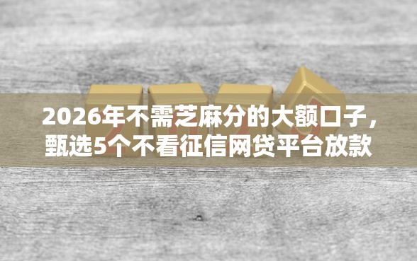 2026年不需芝麻分的大额口子，甄选5个不看征信网贷平台放款快的平台