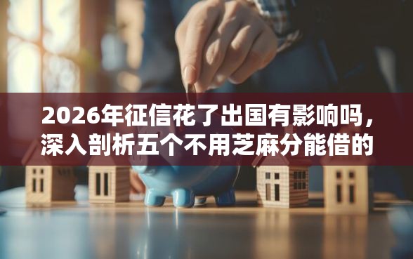 2026年征信花了出国有影响吗，深入剖析五个不用芝麻分能借的口子