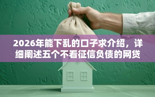 2026年能下乱的口子求介绍，详细阐述五个不看征信负债的网贷百分百下款口子
