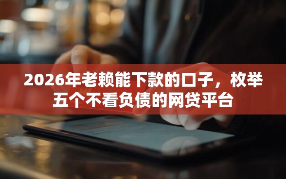 2026年老赖能下款的口子，枚举五个不看负债的网贷平台