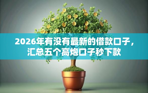 2026年有没有最新的借款口子，汇总五个高炮口子秒下款