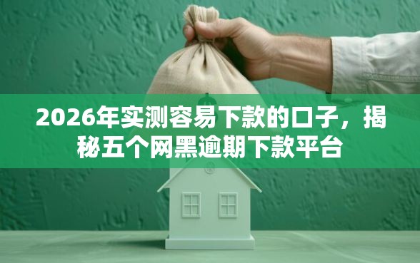2026年实测容易下款的口子，揭秘五个网黑逾期下款平台