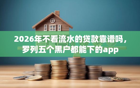 2026年不看流水的贷款靠谱吗，罗列五个黑户都能下的app