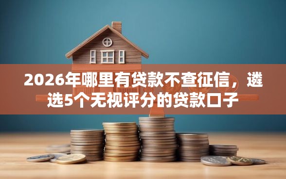 2026年哪里有贷款不查征信，遴选5个无视评分的贷款口子