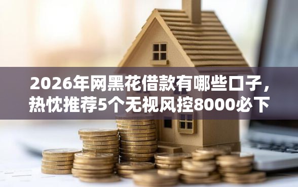 2026年网黑花借款有哪些口子，热忱推荐5个无视风控8000必下口子