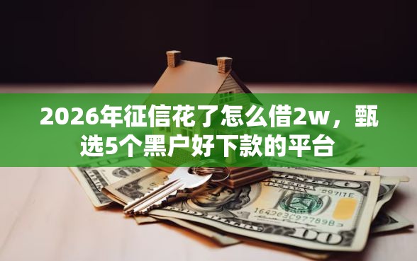 2026年征信花了怎么借2w，甄选5个黑户好下款的平台