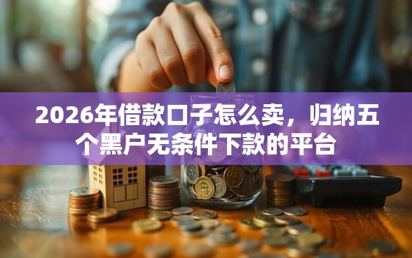 2026年借款口子怎么卖，归纳五个黑户无条件下款的平台