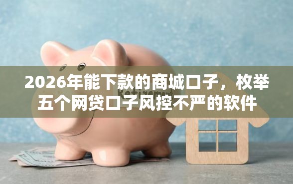 2026年能下款的商城口子，枚举五个网贷口子风控不严的软件
