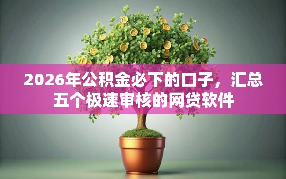 2026年公积金必下的口子，汇总五个极速审核的网贷软件