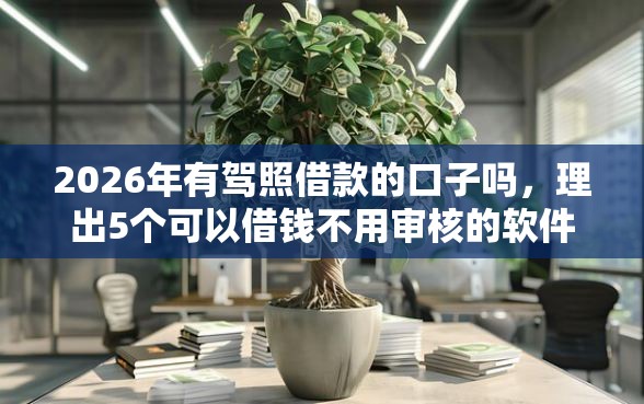 2026年有驾照借款的口子吗，理出5个可以借钱不用审核的软件