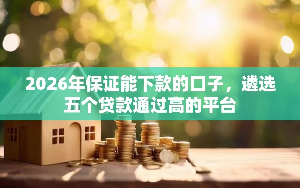 2026年保证能下款的口子，遴选五个贷款通过高的平台