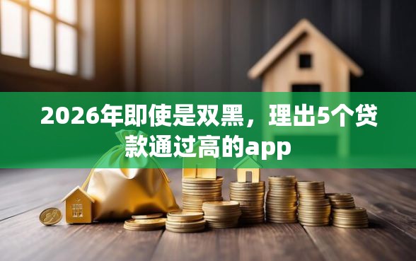 2026年即使是双黑，理出5个贷款通过高的app