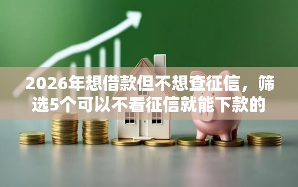 2026年想借款但不想查征信，筛选5个可以不看征信就能下款的平台