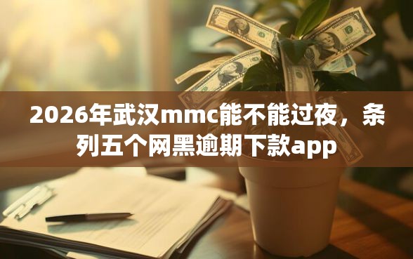 2026年武汉mmc能不能过夜，条列五个网黑逾期下款app