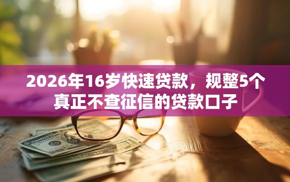 2026年16岁快速贷款，规整5个真正不查征信的贷款口子