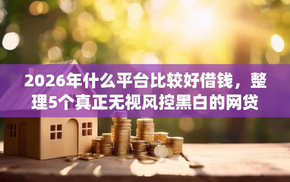 2026年什么平台比较好借钱，整理5个真正无视风控黑白的网贷app